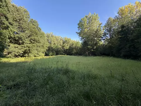42 Nd Ave, Lawrence, MI 49064 photo 24