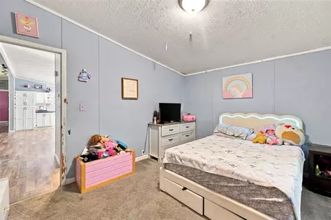 Bedroom - 7460 Pine Rdg, Belding, MI 48809 photo 6 of 6