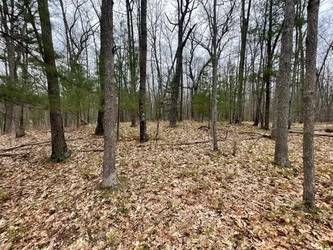 V/l Coates, Brethren, MI 49619 photo 2