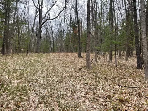 V/l Coates, Brethren, MI 49619 photo 6