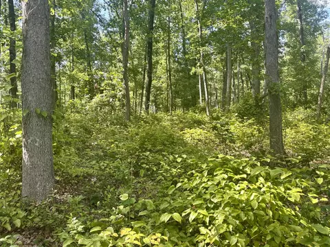 5064 W 109th, Pullman, MI 49450 photo 20