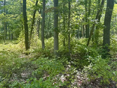 5064 W 109th, Pullman, MI 49450 photo 22