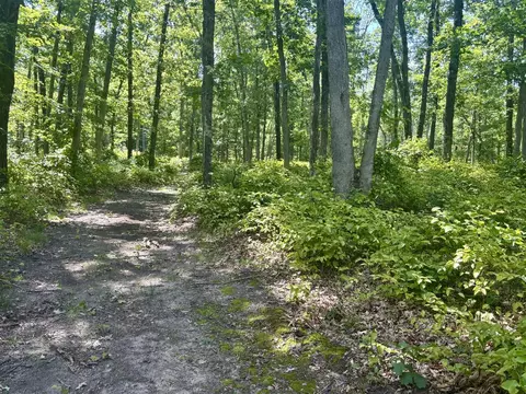 5064 W 109th, Pullman, MI 49450 photo 21