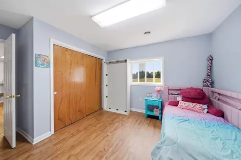 5550 E Carleton, Palmyra, MI 49268 photo 17