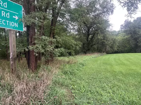 Brooklyn, Jackson, MI 49201 photo 3
