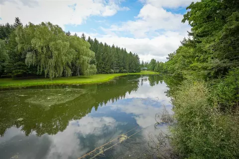 View/Area - 5260 N Hockaday, Gladwin, MI 48624 photo 10 of 18