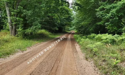 Other - 9557 E Anthony, Branch, MI 49402 photo 26 of 37