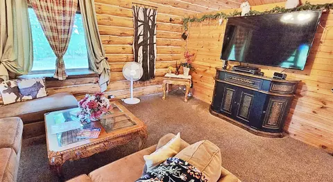 Living - 9557 E Anthony, Branch, MI 49402 photo 3 of 3