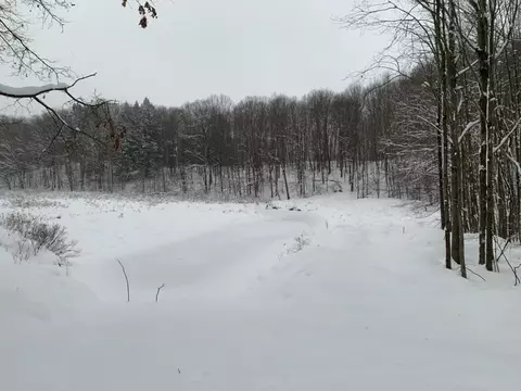 Other - 9557 E Anthony, Branch, MI 49402 photo 35 of 37