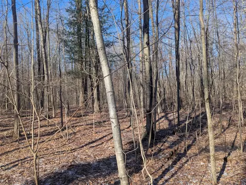 00 East, Update, MI 48457 photo 11