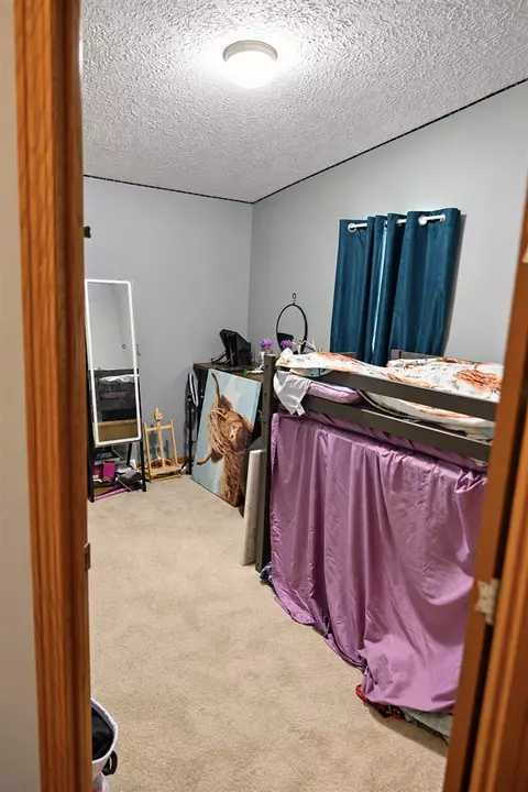 Other - 733 N Main, Evart, MI 49631 photo 2 of 4