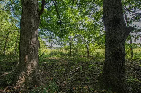 V/l Millard, Three Rivers, MI 49093 photo 15