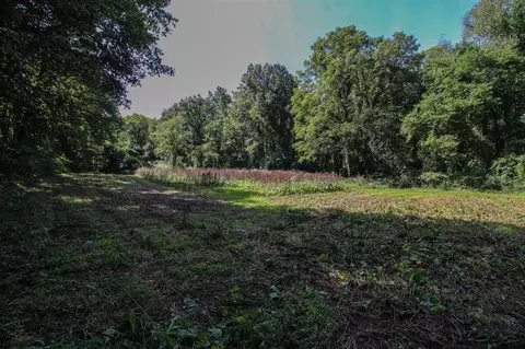 V/l Millard, Three Rivers, MI 49093 photo 8