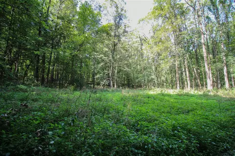 V/l Millard, Three Rivers, MI 49093 photo 11