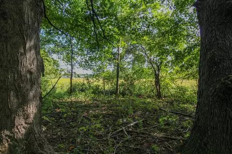 V/l Millard, Three Rivers, MI 49093 photo 14