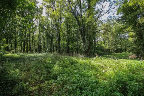 V/l Millard, Three Rivers, MI 49093 photo 10