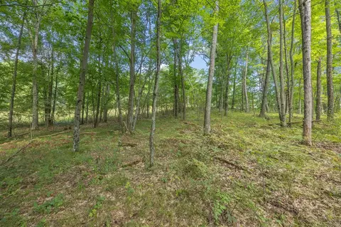 5888 Us-10, Chase, MI 49623 photo 4