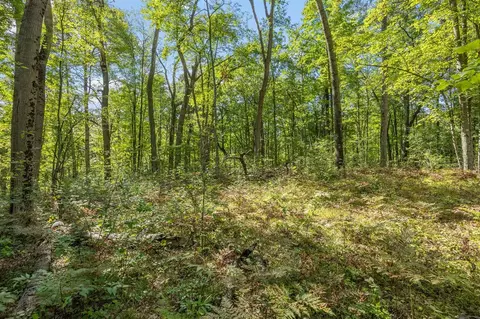 5888 Us-10, Chase, MI 49623 photo 16