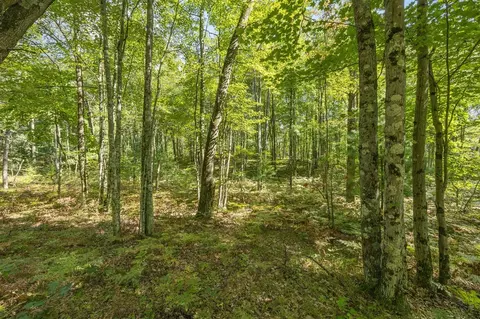 5888 Us-10, Chase, MI 49623 photo 19