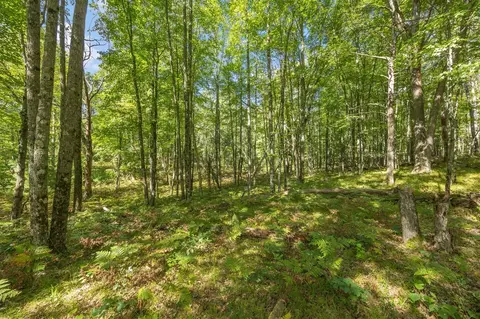 5888 Us-10, Chase, MI 49623 photo 18