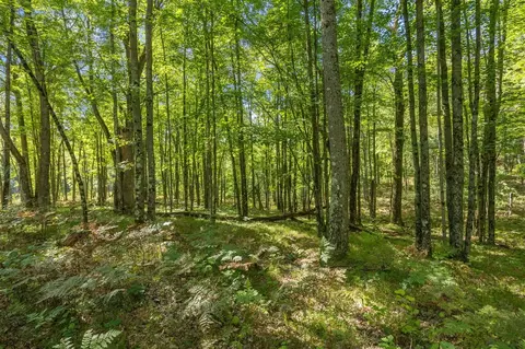5888 Us-10, Chase, MI 49623 photo 17
