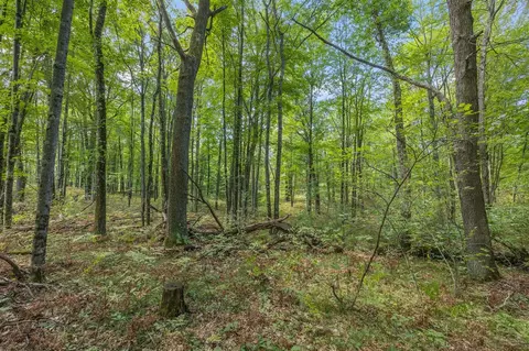 5888 Us-10, Chase, MI 49623 photo 5