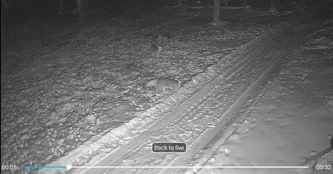 5888 Us-10, Chase, MI 49623 photo 39
