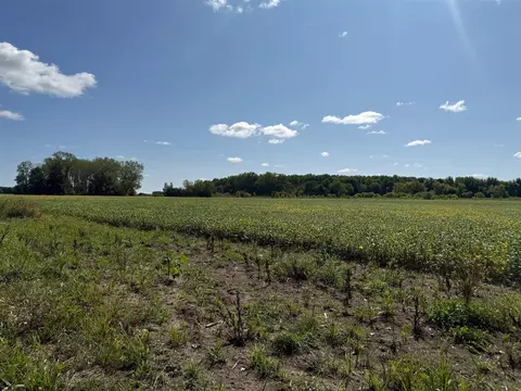 V/l Cade Rd, Capac, MI 48014 photo 30