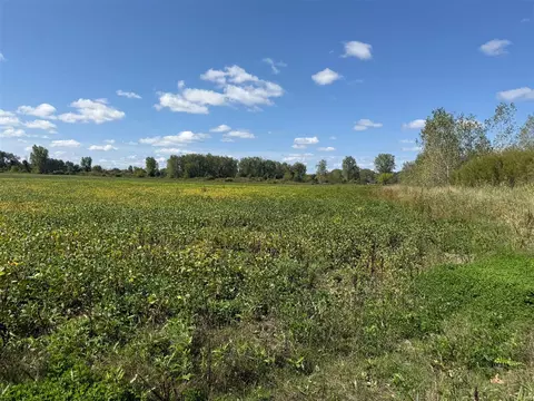 V/l Cade Rd, Capac, MI 48014 photo 37