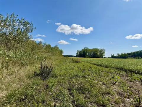 V/l Cade Rd, Capac, MI 48014 photo 29