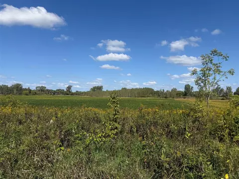 V/l Cade Rd, Capac, MI 48014 photo 33