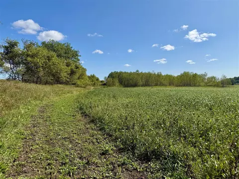 V/l Cade Rd, Capac, MI 48014 photo 16