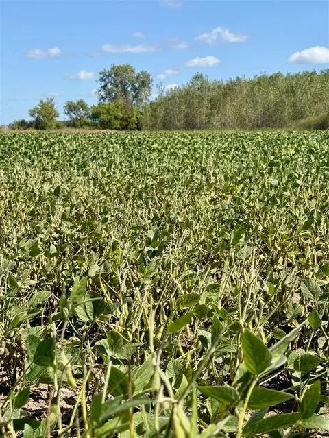 V/l Cade Rd, Capac, MI 48014 photo 13
