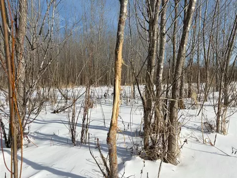 V/l Cade Rd, Capac, MI 48014 photo 39