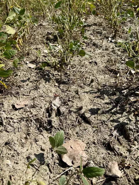 V/l Cade Rd, Capac, MI 48014 photo 36