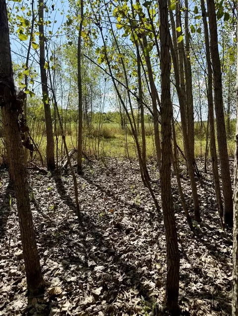 V/l Cade Rd, Capac, MI 48014 photo 24