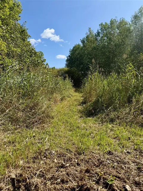 V/l Cade Rd, Capac, MI 48014 photo 19