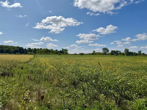 V/l Cade Rd, Capac, MI 48014 photo 38