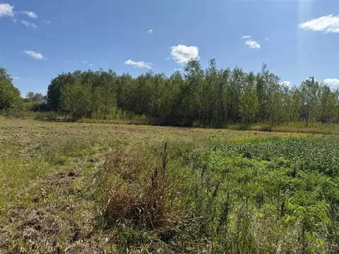 V/l Cade Rd, Capac, MI 48014 photo 17
