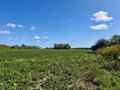 V/l Cade Rd, Capac, MI 48014 photo 12