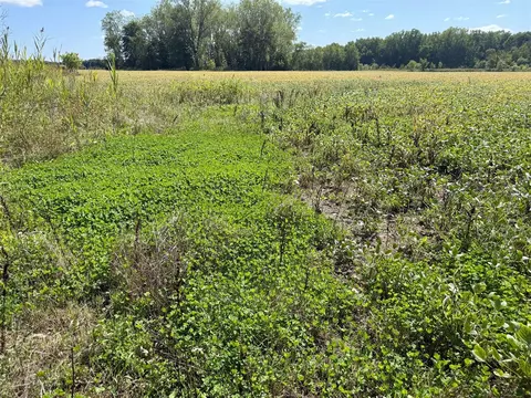 V/l Cade Rd, Capac, MI 48014 photo 32