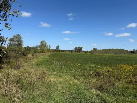 V/l Cade Rd, Capac, MI 48014 photo 5
