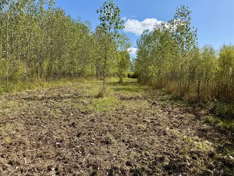 V/l Cade Rd, Capac, MI 48014 photo 28