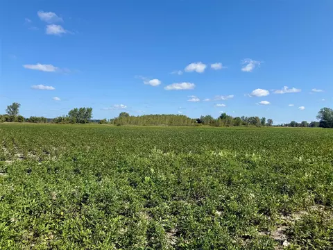 V/l Cade Rd, Capac, MI 48014 photo 11