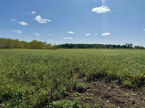 V/l Cade Rd, Capac, MI 48014 photo 15