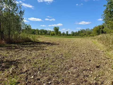 V/l Cade Rd, Capac, MI 48014 photo 4