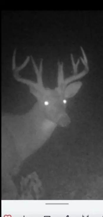 V/l Cade Rd, Capac, MI 48014 photo 43