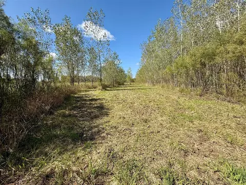 V/l Cade Rd, Capac, MI 48014 photo 26