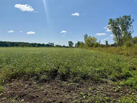 V/l Cade Rd, Capac, MI 48014 photo 14