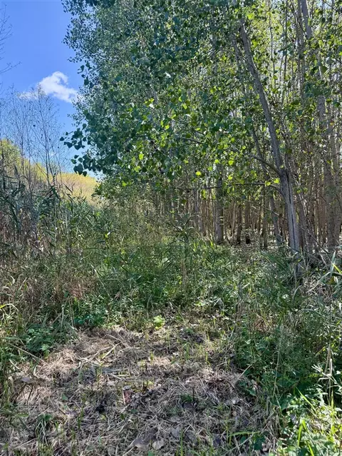 V/l Cade Rd, Capac, MI 48014 photo 20